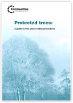 Tree Preservation Orders leaflet